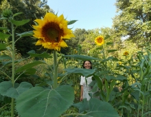 Anna Hess ’00 in a patch of sunflowers